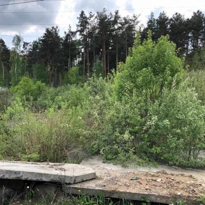 Img 20190512 Wa0015