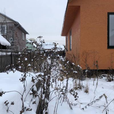 Image3