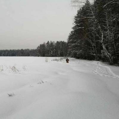 Img 20210222 090722