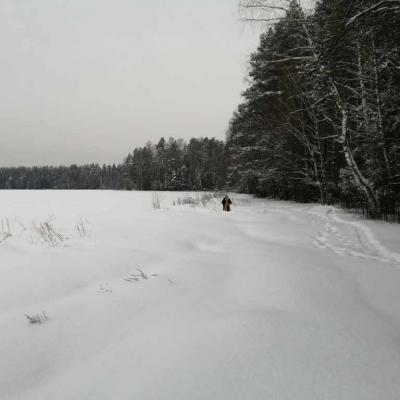 Топографическая съемка для строительства ВОЛС Щелковский район. Февраль 2021 г